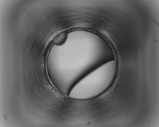 X0000101660923200807101021
