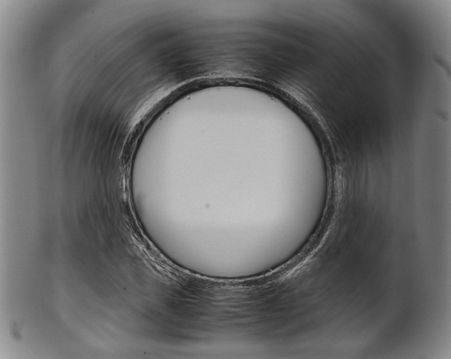 X0000101660925200807101021