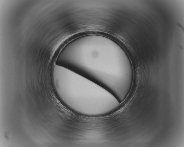 X0000101660926200807101021
