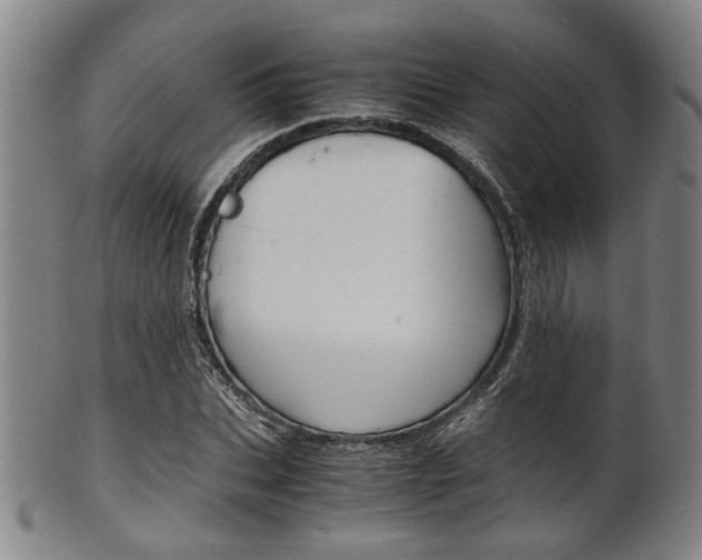 X0000101660927200807101021