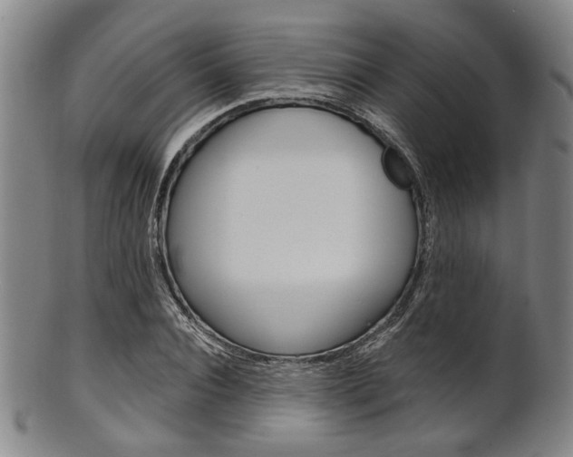 X0000101660928200807101021