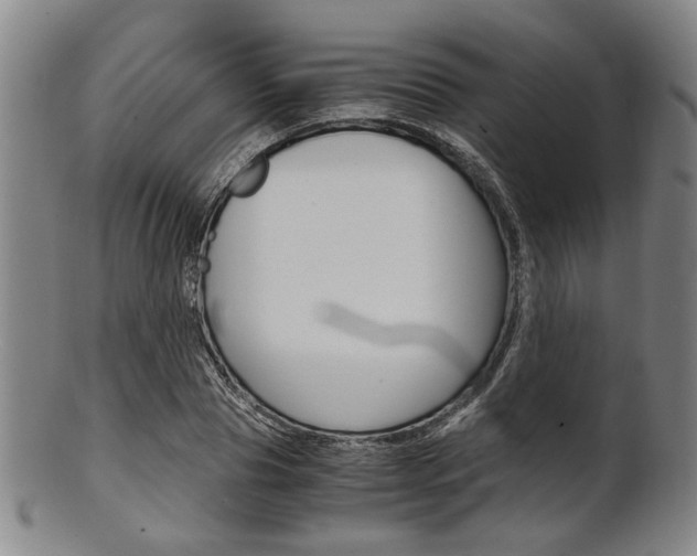 X0000101660929200807101021