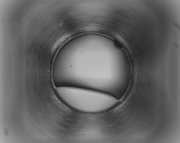 X0000101660930200807101021