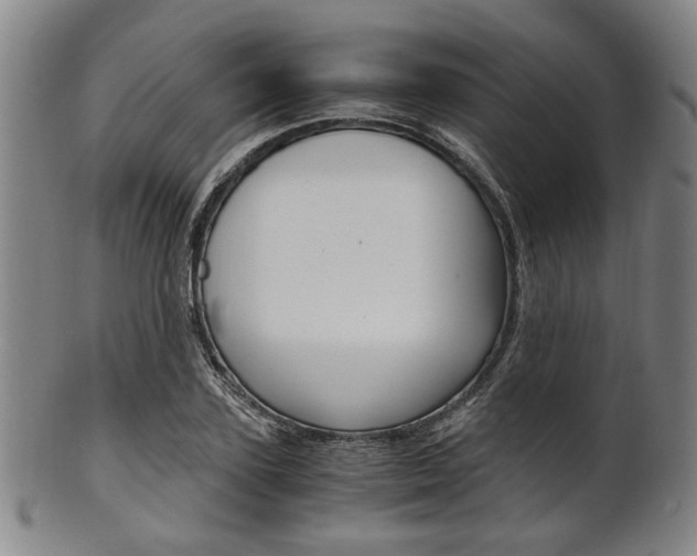 X0000101660931200807101021