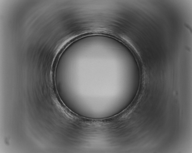 X0000101660932200807101021