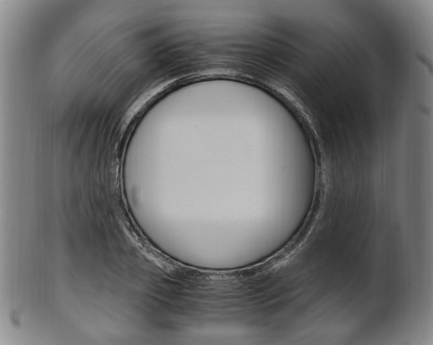 X0000101660933200807101021