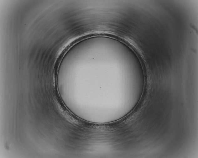 X0000101660934200807101021