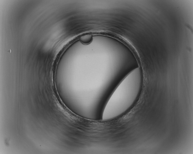 X0000101660935200807101021