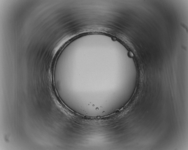 X0000101660936200807101021