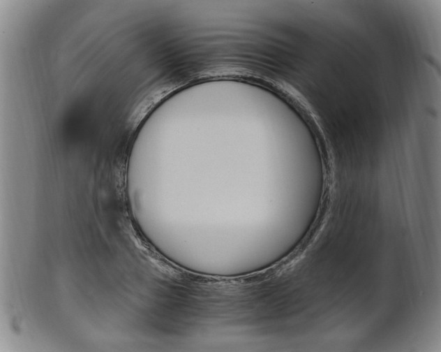 X0000101660937200807101021
