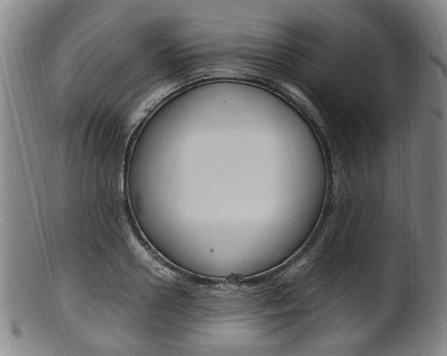 X0000101660938200807101021