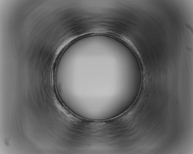 X0000101660939200807101021