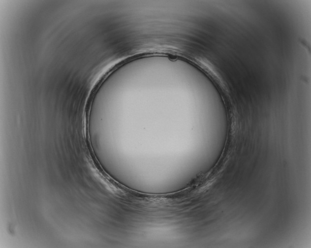 X0000101660940200807101021