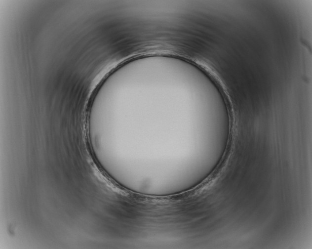X0000101660941200807101022