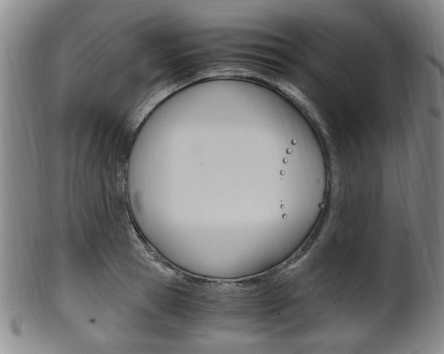 X0000101660945200807101022