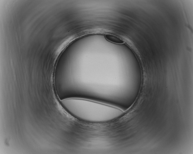 X0000101660946200807101022