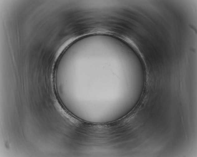 X0000101660947200807101022