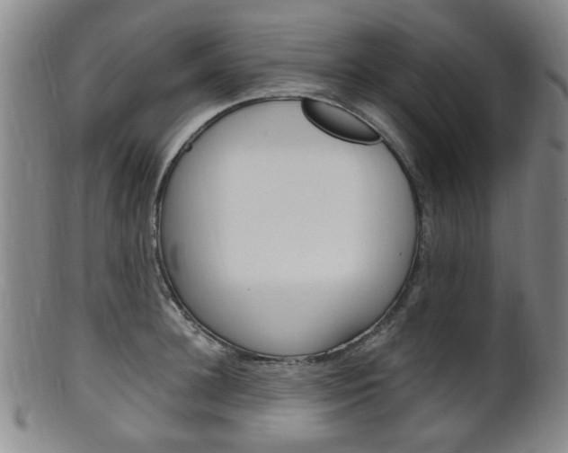 X0000101660948200807101022