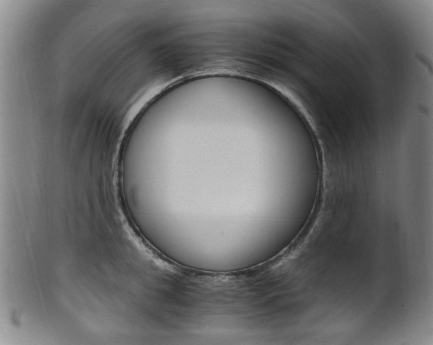 X0000101660949200807101022