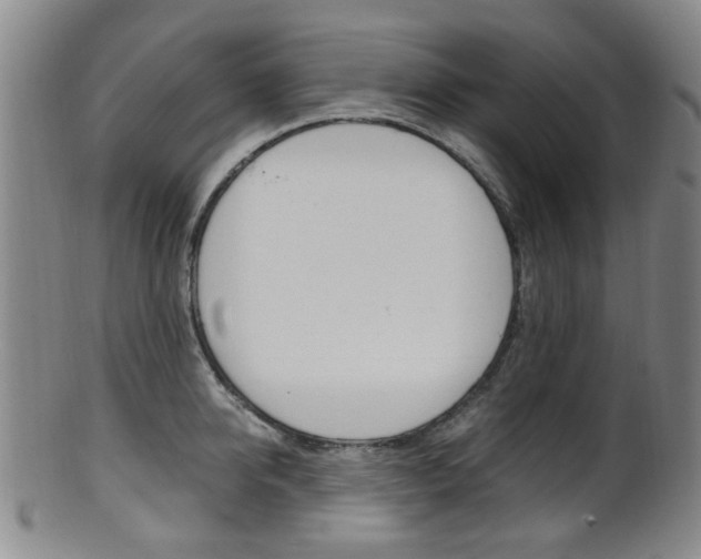 X0000101660950200807101022