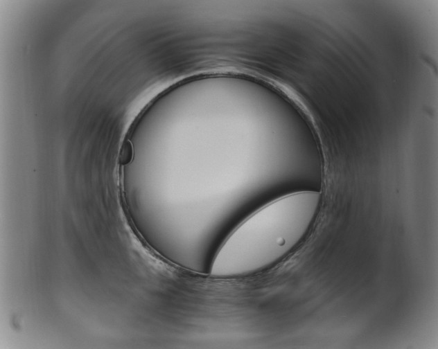 X0000101660951200807101022