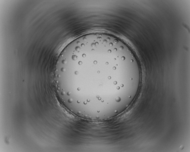 X0000101660953200807101022