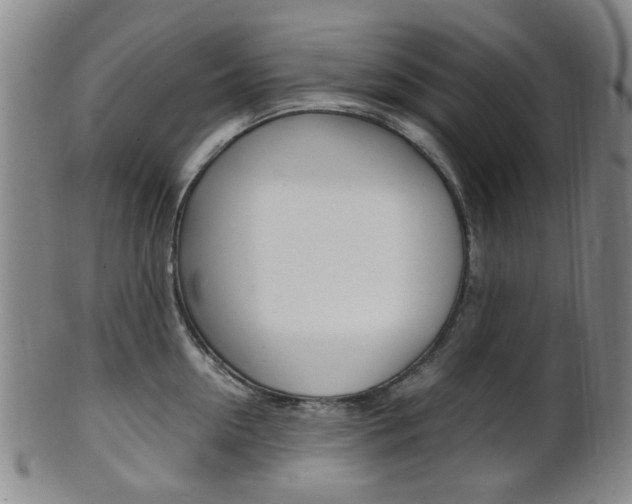 X0000101660954200807101022