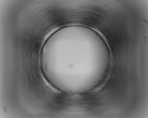 X0000101660957200807101022
