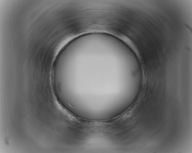 X0000101660958200807101022