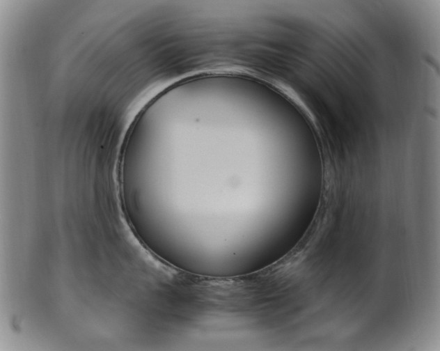 X0000101660959200807101022