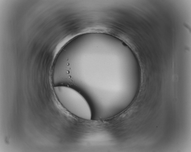 X0000101660960200807101022