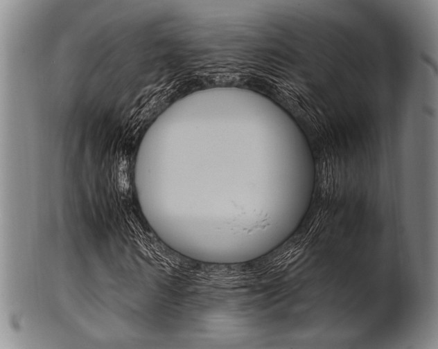 X0000101660962200807101021