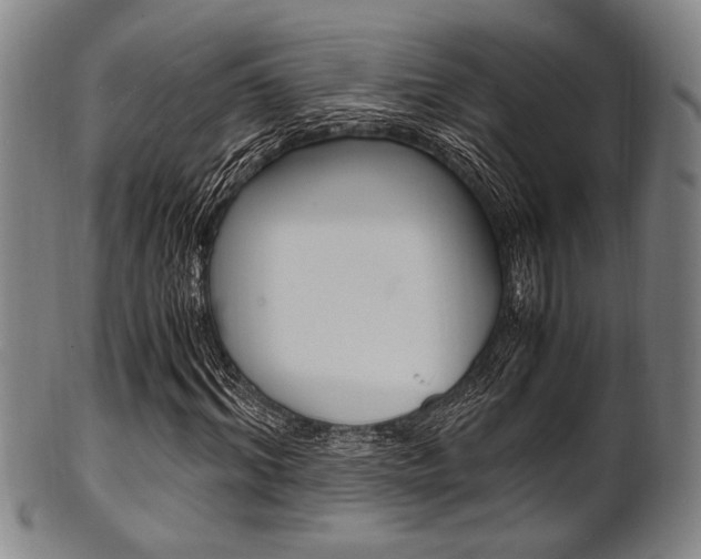X0000101660964200807101021