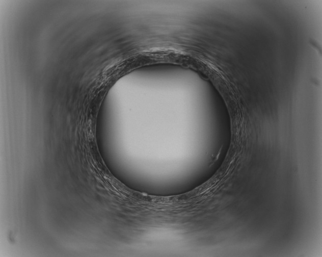 X0000101660965200807101021