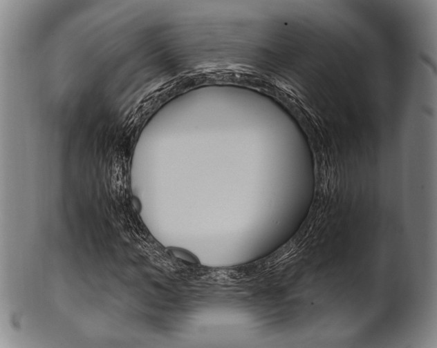 X0000101660966200807101021