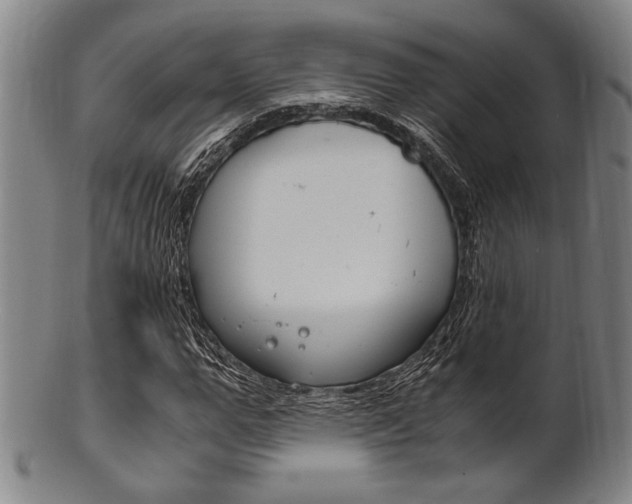 X0000101660967200807101021