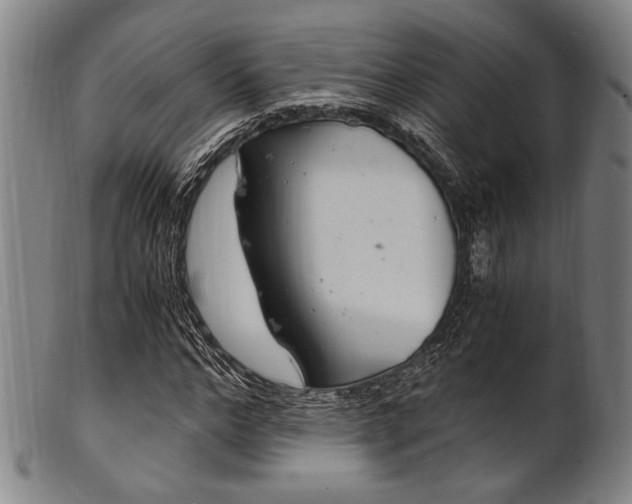 X0000101660968200807101021