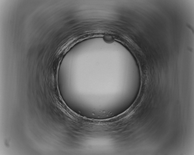 X0000101660969200807101021