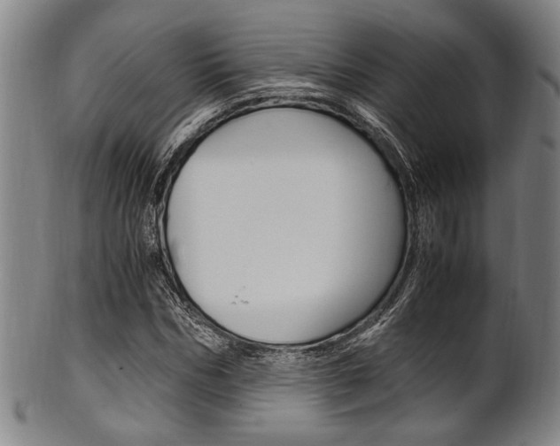 X0000101660970200807101021