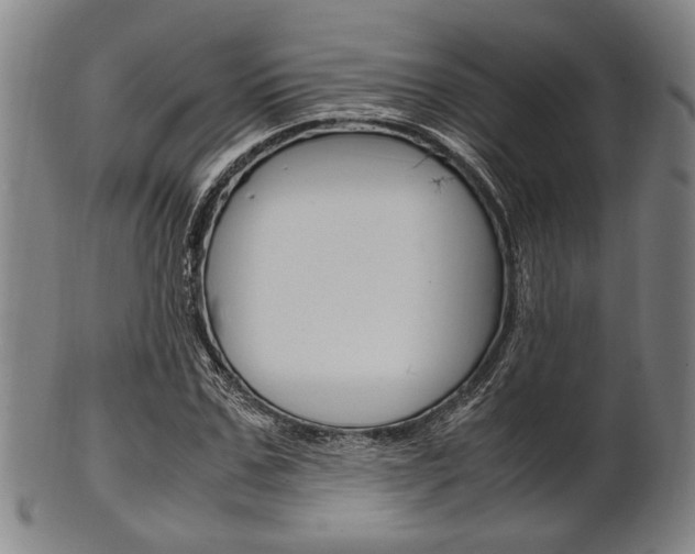 X0000101660971200807101021