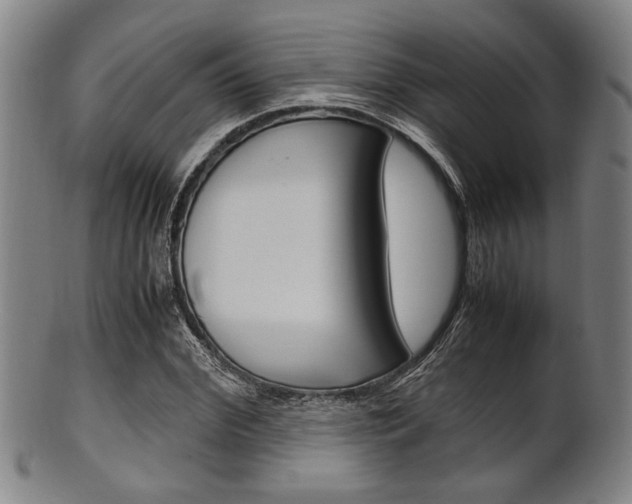 X0000101660972200807101021