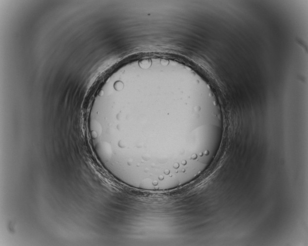X0000101660974200807101021