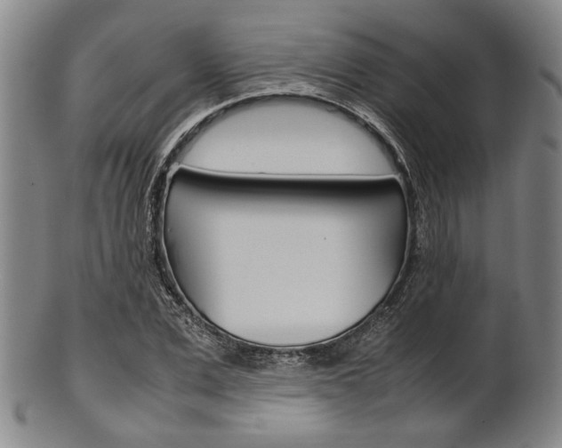 X0000101660975200807101021