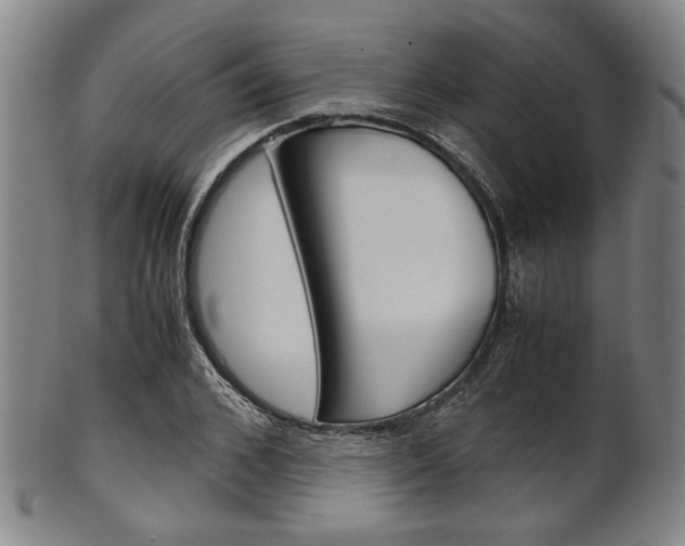 X0000101660976200807101021