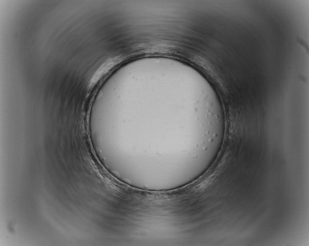 X0000101660978200807101021