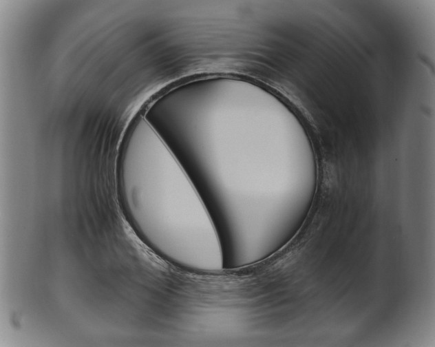 X0000101660980200807101021