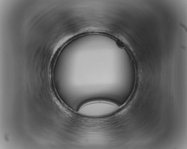 X0000101660981200807101021