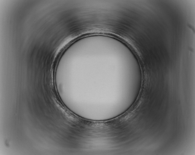X0000101660982200807101021