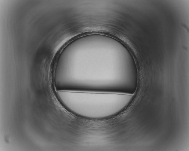 X0000101660983200807101021