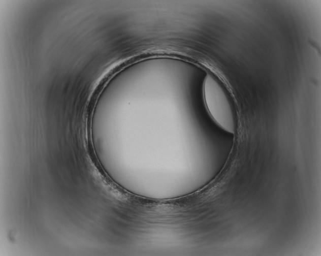 X0000101660984200807101021